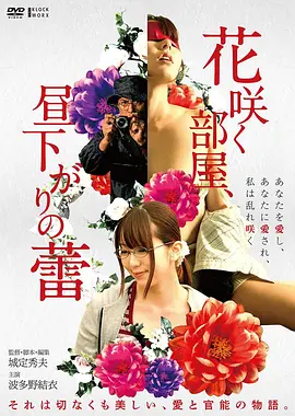 家庭伦理剧集围村四时的档案卡封面